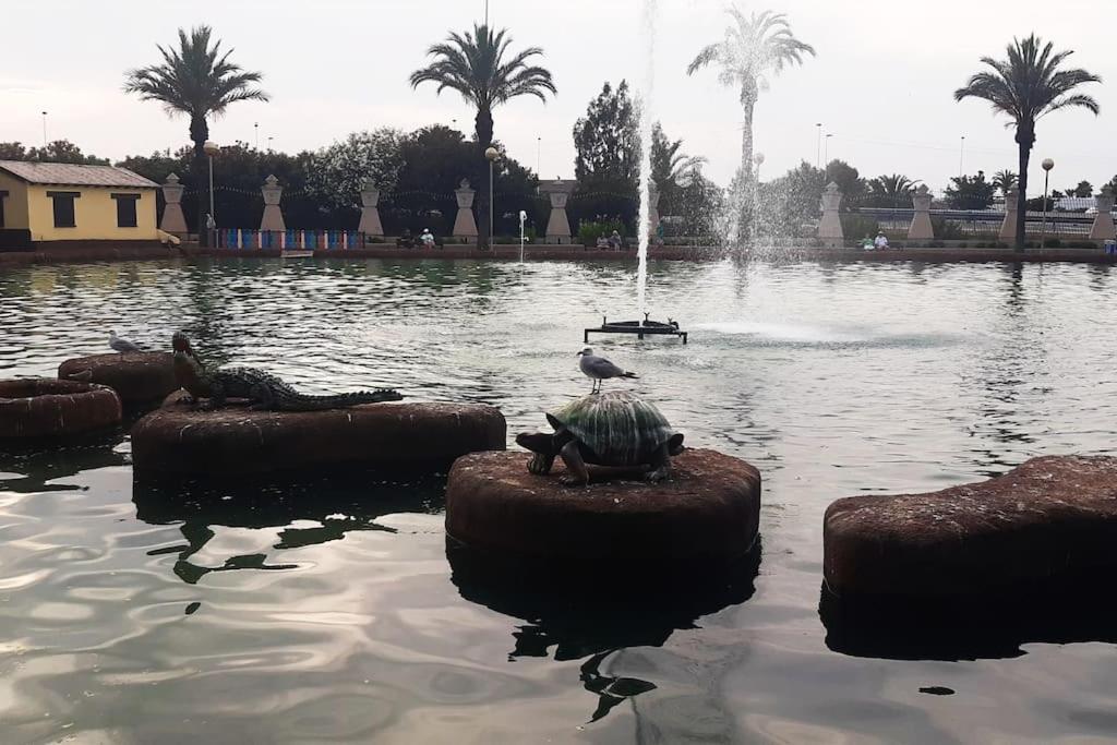 Adventure Harbour Apartment Torrevieja Ngoại thất bức ảnh