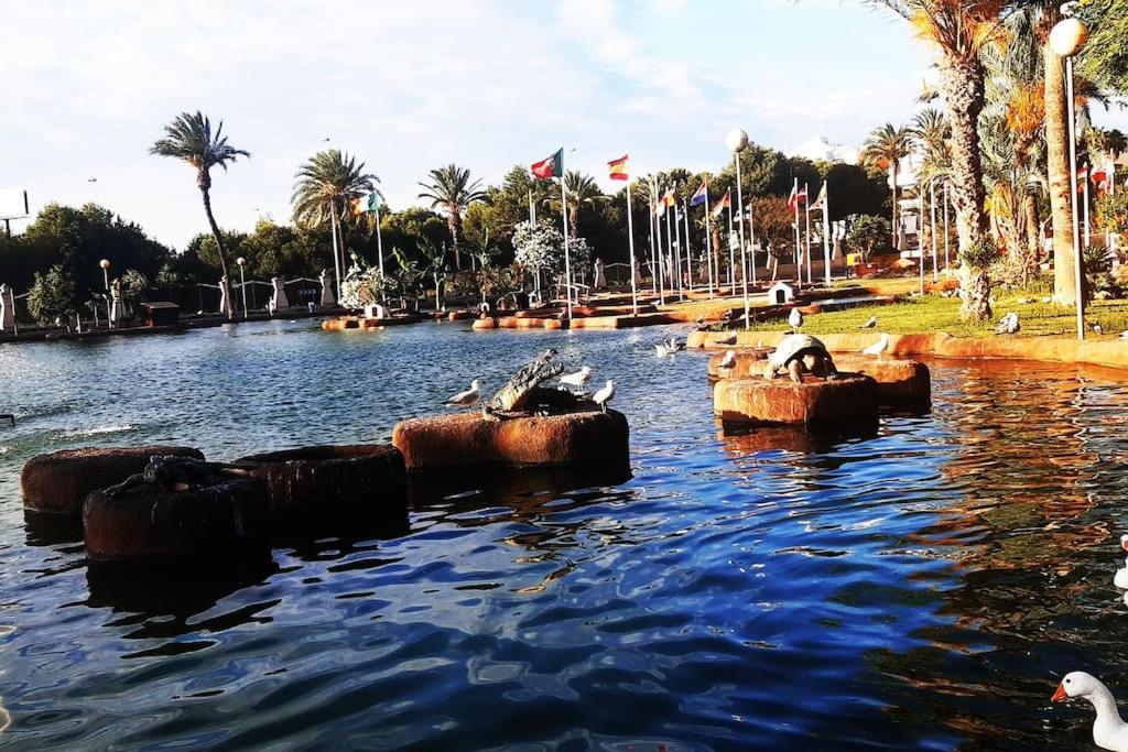 Adventure Harbour Apartment Torrevieja Ngoại thất bức ảnh